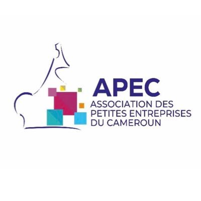 APEC - Association des Petites Entreprises du Cameroun